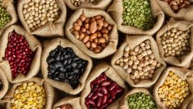 «ПроЗерно» ожидает проблем с экспортом зернобобовых из-за «курсовых» пошлин